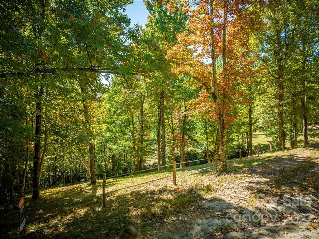 5 B Fox Tower Road, Unit 5B Brevard, NC 28712 - Photo 2 of 20 Gallery Image 2