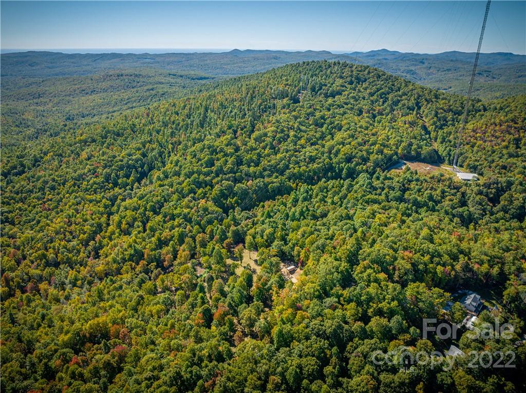 5 B Fox Tower Road, Unit 5B Brevard, NC 28712 - Photo 4 of 20 Gallery Image 4