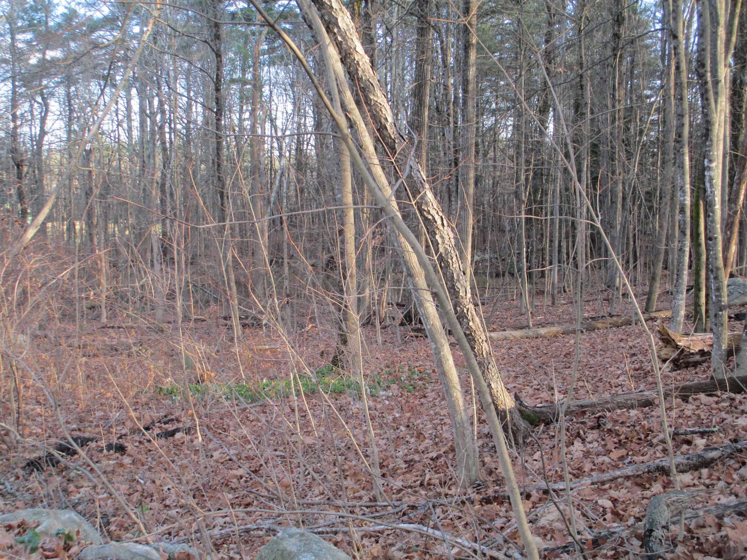 2-47 Old Amherst Road Mont Vernon, NH 03057 - Photo 5 of 7