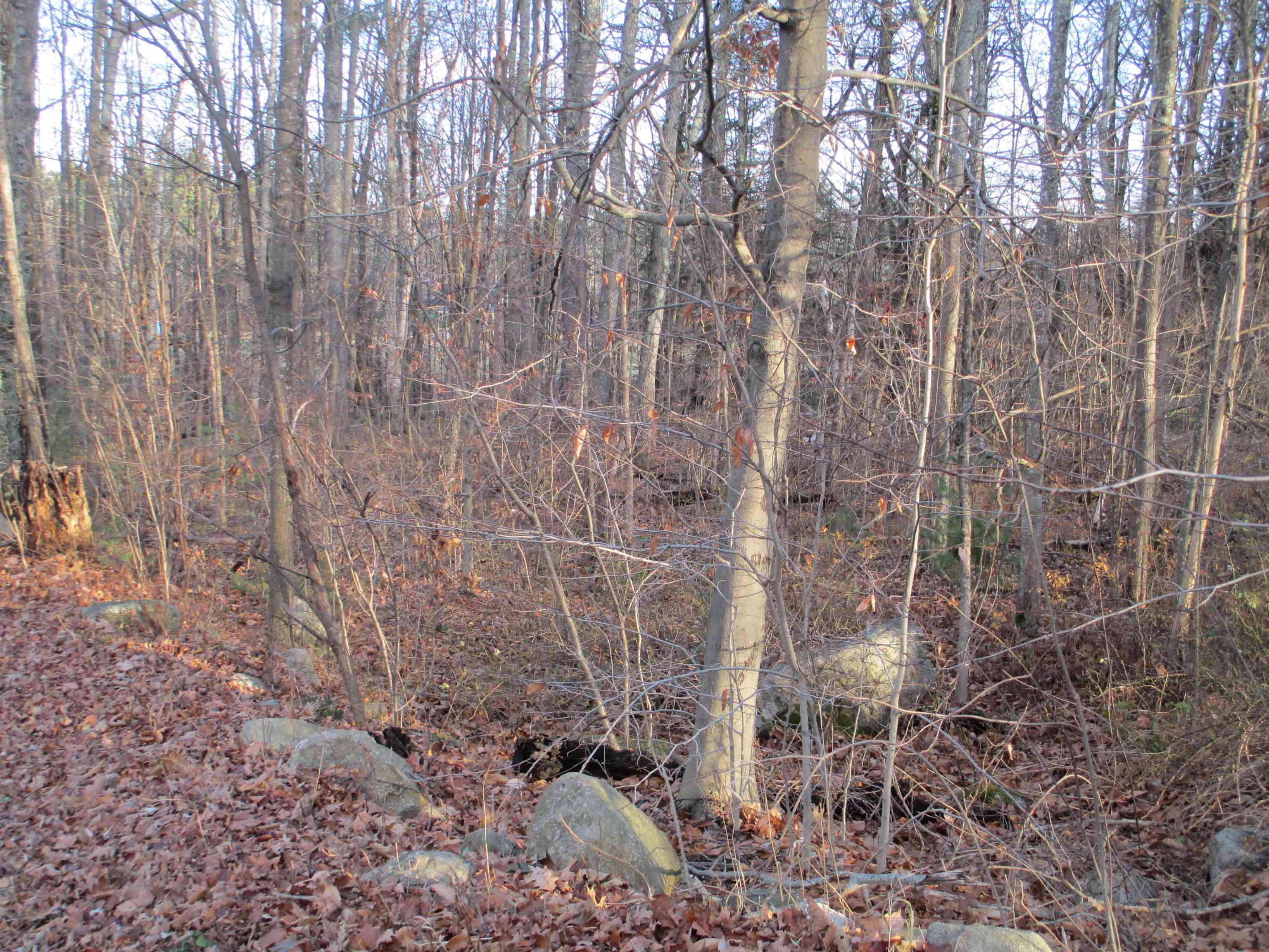 2-47 Old Amherst Road Mont Vernon, NH 03057 - Photo 6 of 7