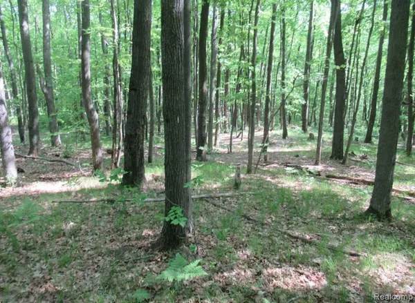 $24,900 | 2360 Fawn Circle, Harrison, MI 48625