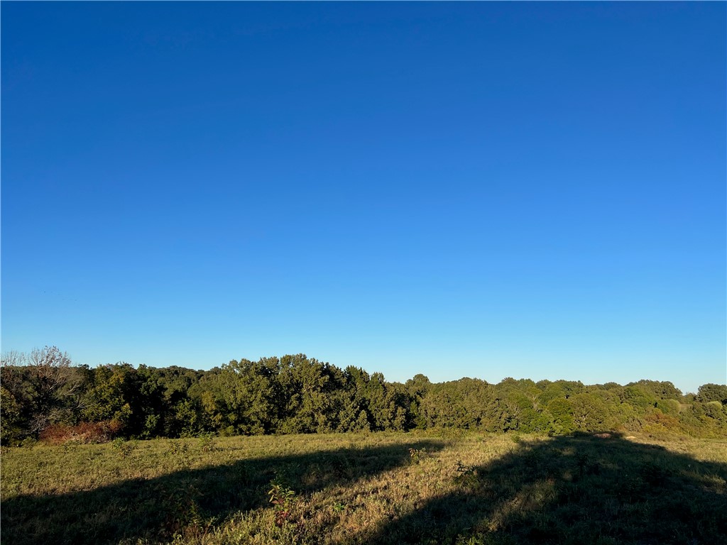Parks Road Harrison, AR 72601 - Photo 15 of 18 Gallery Image 15
