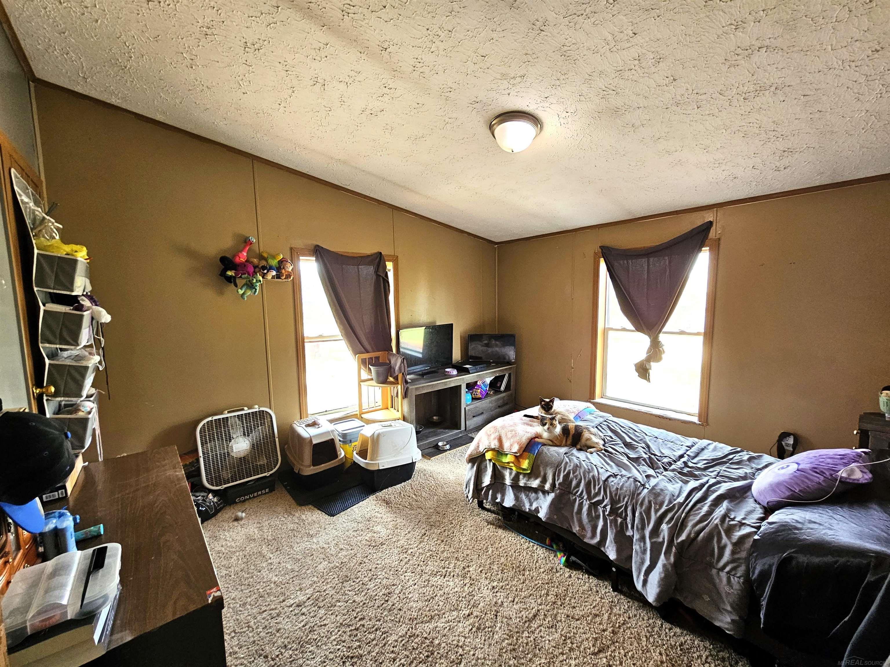6544 East Washington Road Carsonville, MI 48419 - Photo 25 of 35 50171279-14ee13b1-8d5f-4aa9-be9d-eb465a1a1a2e.JPG