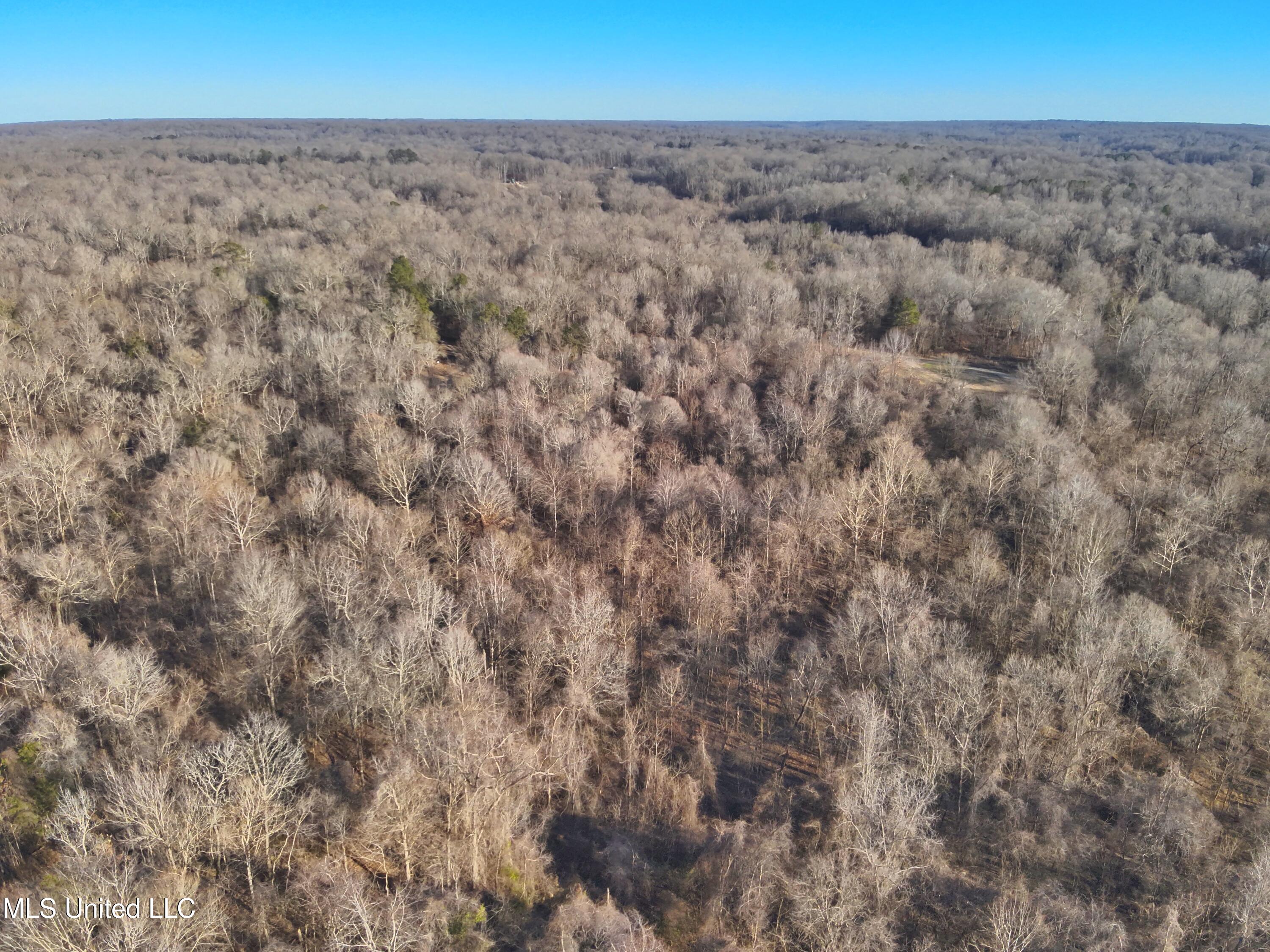 Broomfield Road Road Yazoo City, MS 39194 - Photo 11 of 17 Attachment-1 8