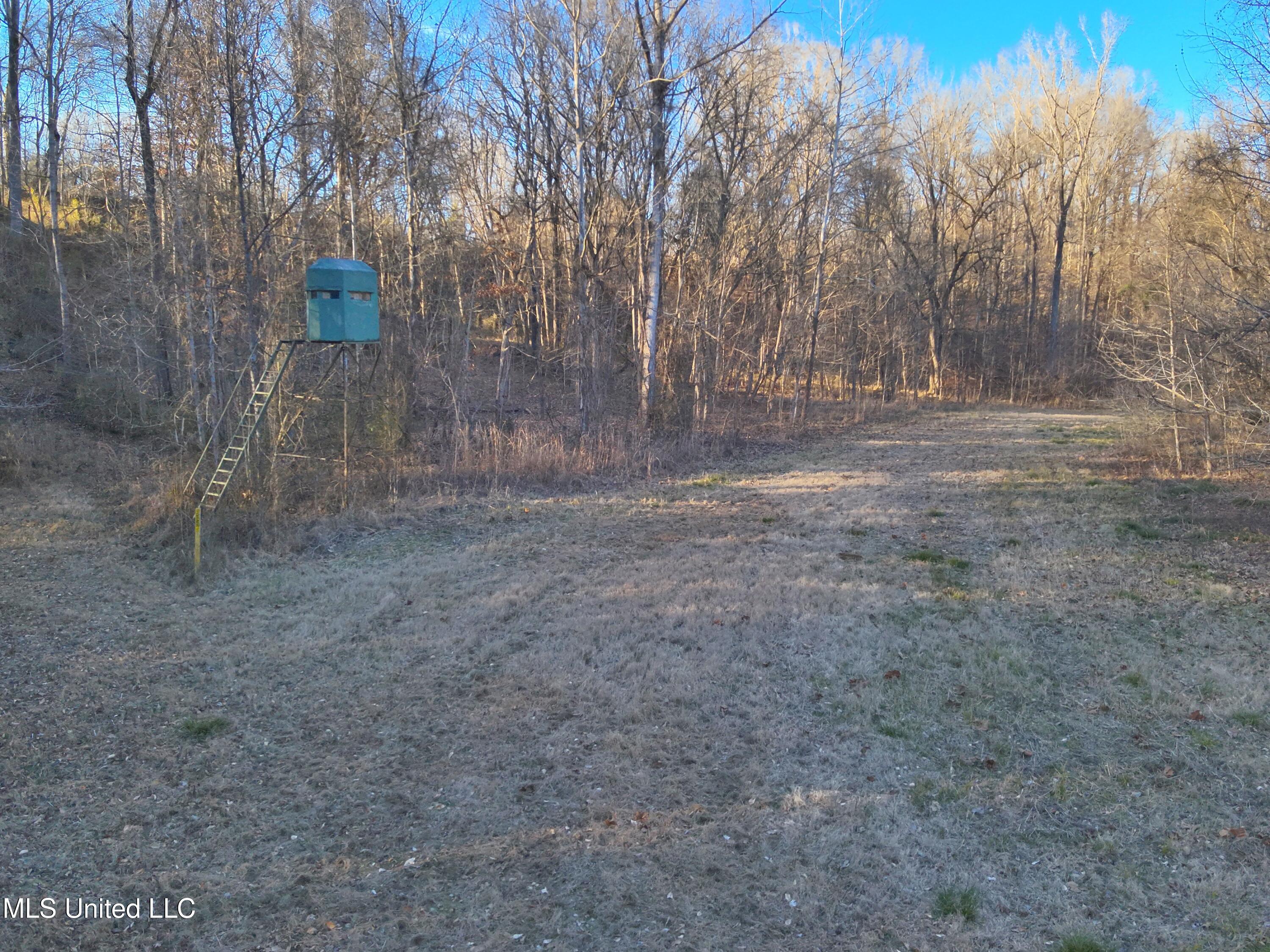 Broomfield Road Road Yazoo City, MS 39194 - Photo 12 of 17 Attachment-1 3