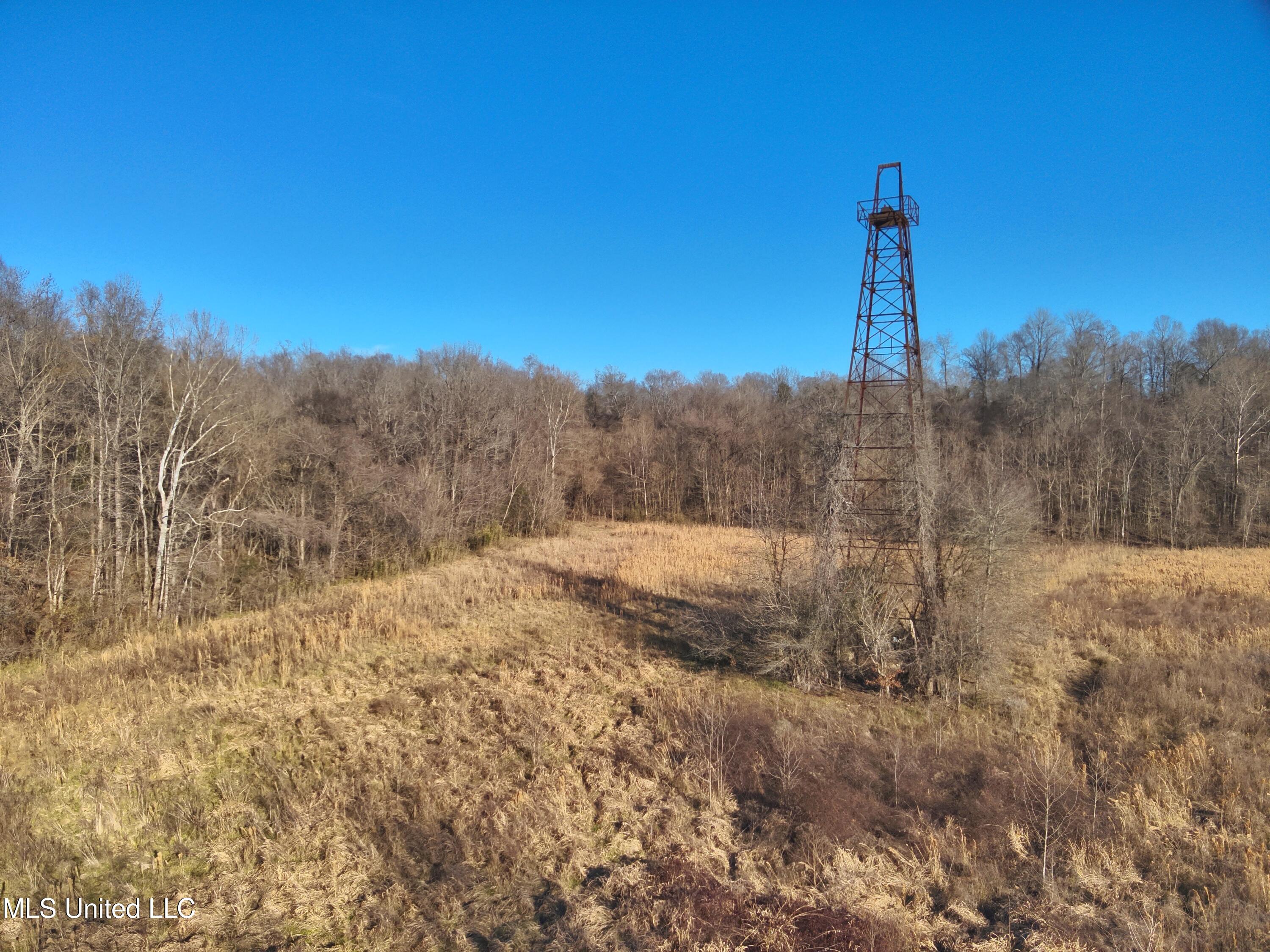 Broomfield Road Road Yazoo City, MS 39194 - Photo 13 of 17 Attachment-1 13
