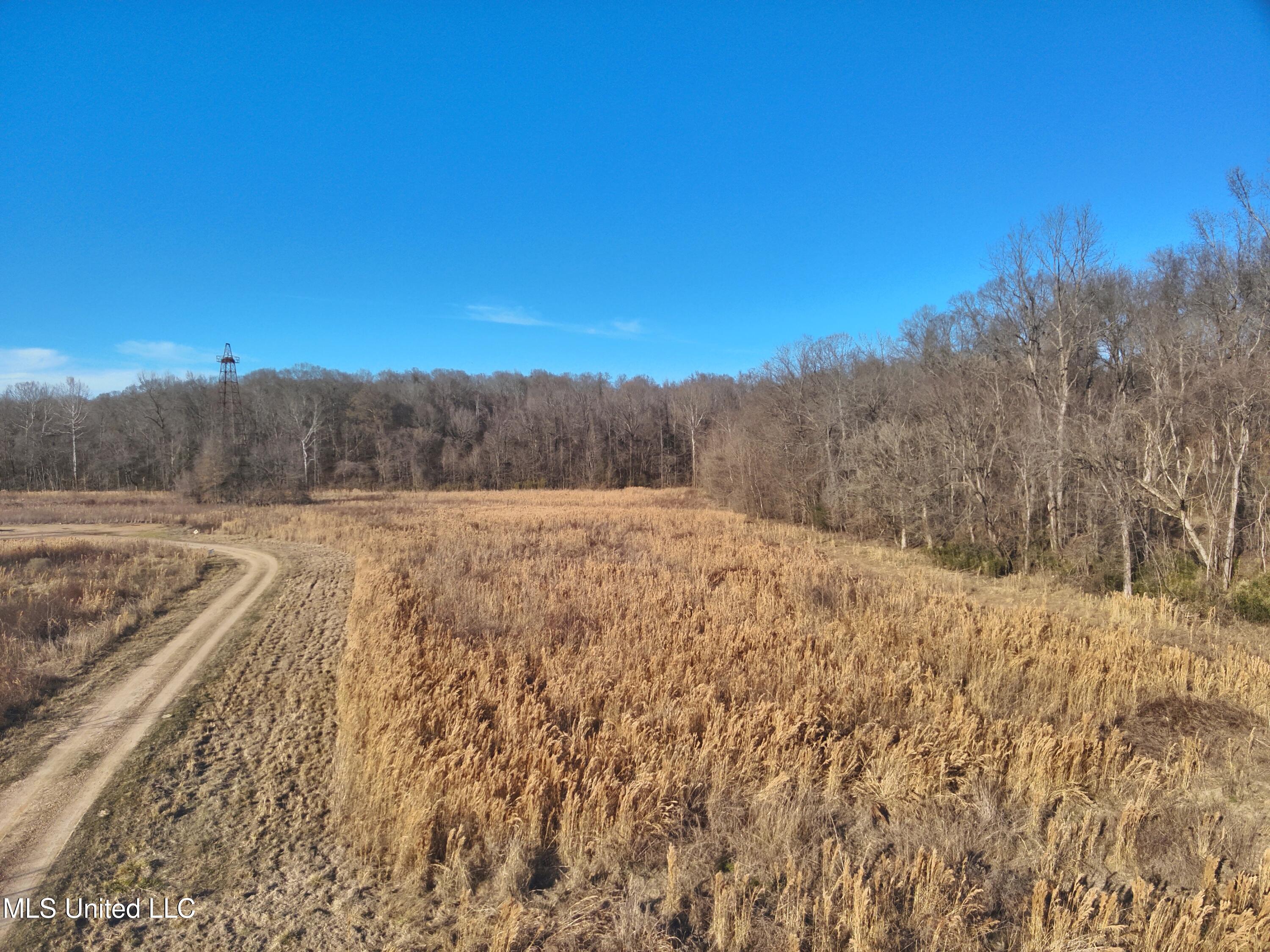 Broomfield Road Road Yazoo City, MS 39194 - Photo 15 of 17 Attachment-1 14