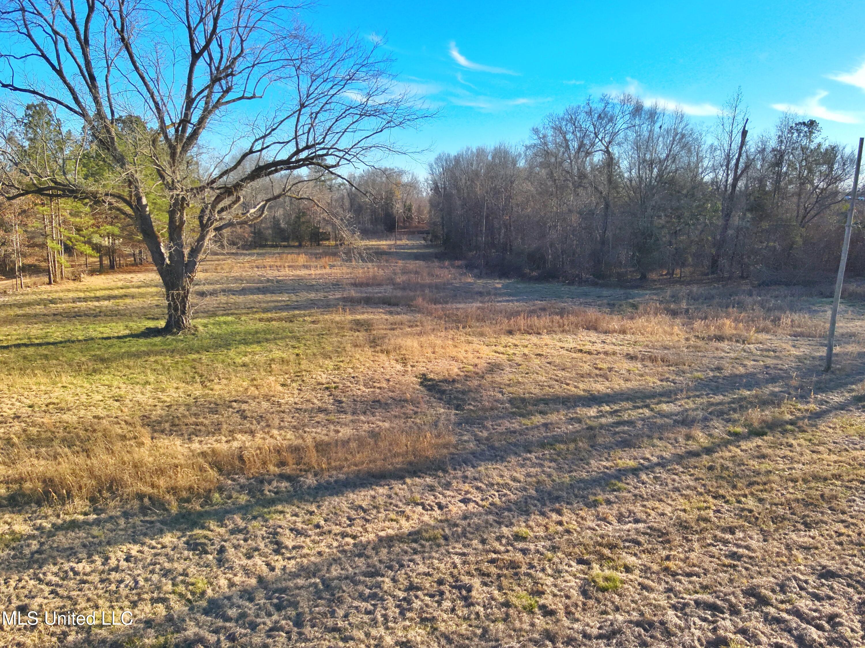 Broomfield Road Road Yazoo City, MS 39194 - Photo 3 of 17 Attachment-1 4