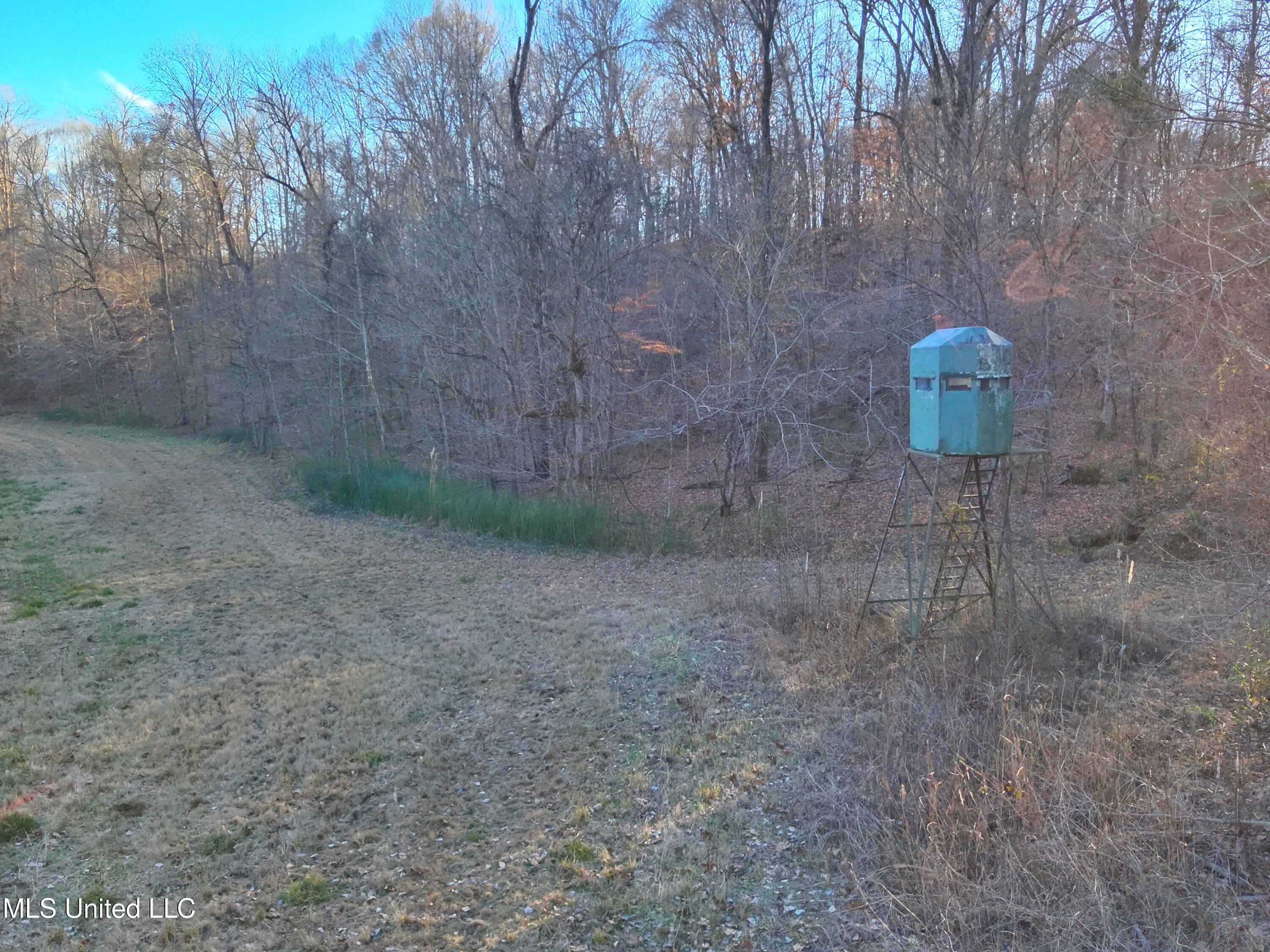 Broomfield Road Road Yazoo City, MS 39194 - Photo 4 of 17 Attachment-1 2