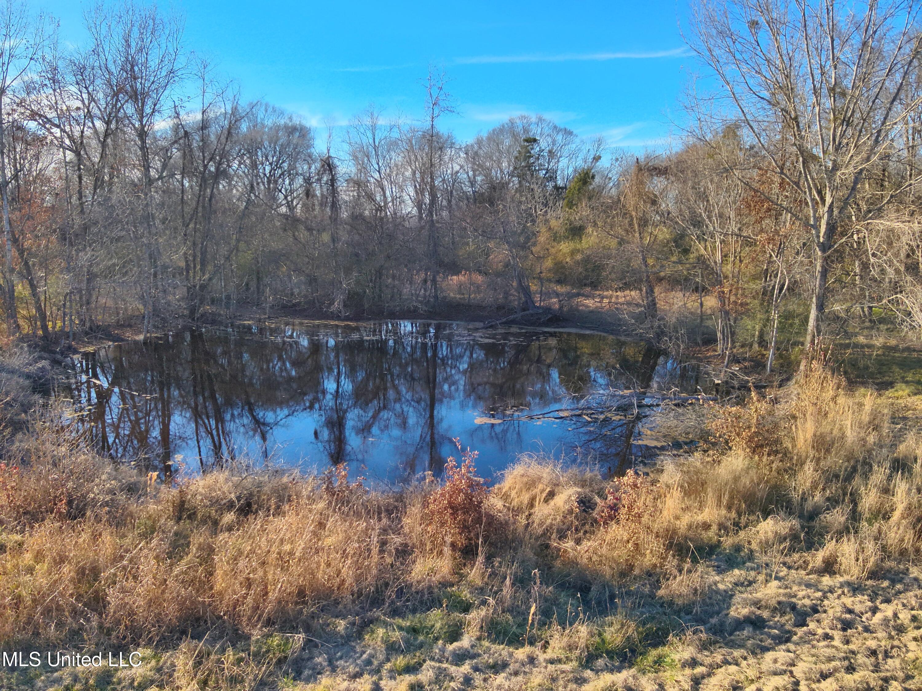 Broomfield Road Road Yazoo City, MS 39194 - Photo 6 of 17 Attachment-1 6
