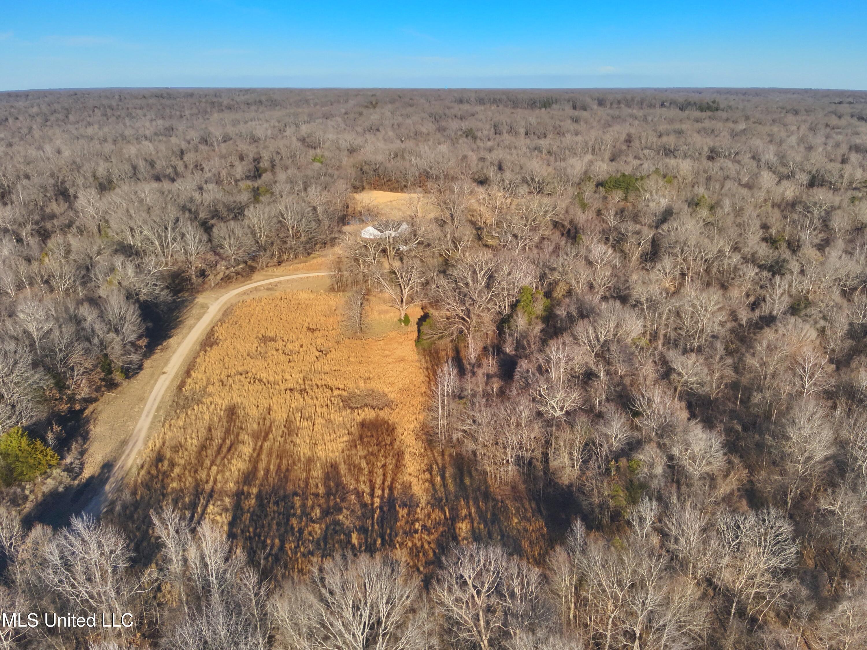 Broomfield Road Road Yazoo City, MS 39194 - Photo 7 of 17 Attachment-1 7