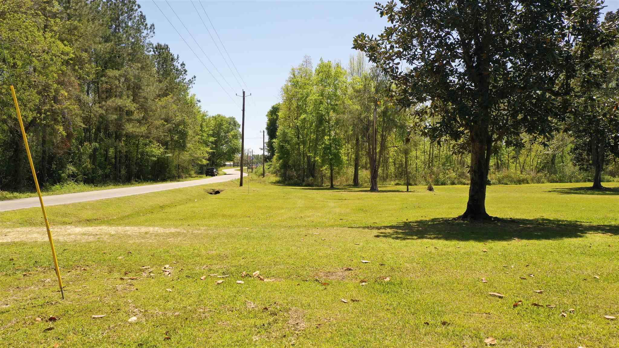 1308 South Presley Street Atmore, AL 36502 - Photo 3 of 27