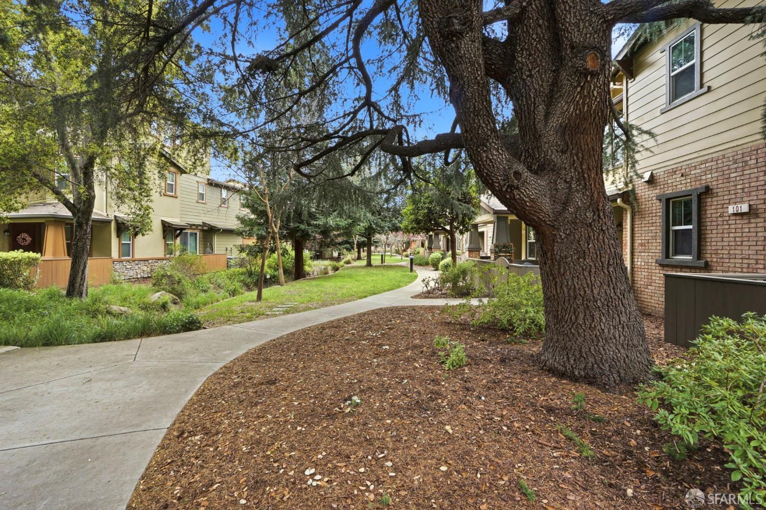 2541 Oak Road Walnut Creek, CA 94597 - Photo 55 of 59