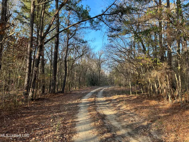 $231,000 | Perry Creek Road, Yazoo City, MS 39194