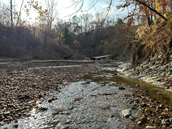 $231,000 | Perry Creek Road, Yazoo City, MS 39194