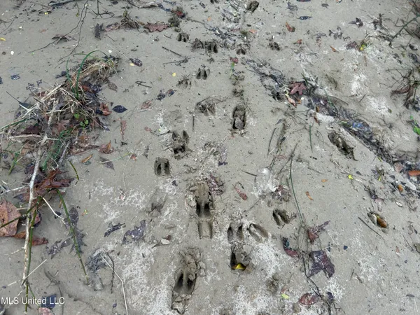 $231,000 | Perry Creek Road, Yazoo City, MS 39194