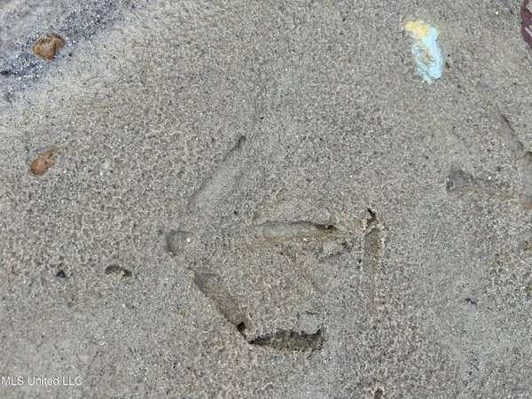 $231,000 | Perry Creek Road, Yazoo City, MS 39194