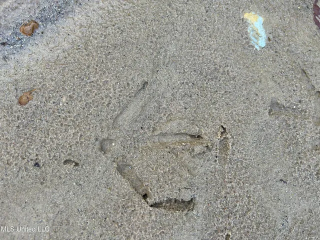 $231,000 | Perry Creek Road, Yazoo City, MS 39194