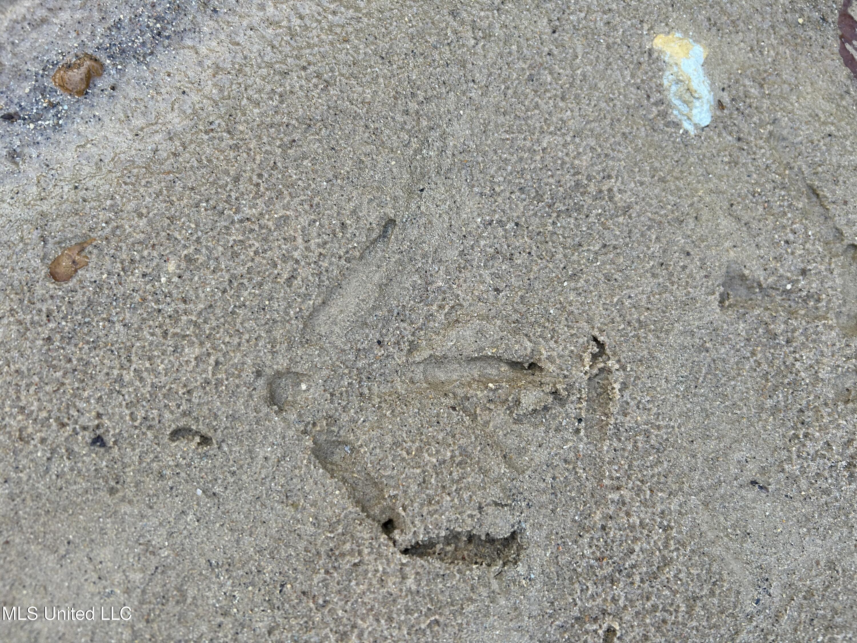 Perry Creek Road Yazoo City, MS 39194 - Photo 15 of 56 15