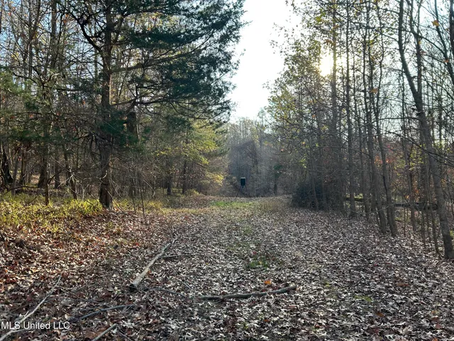 $231,000 | Perry Creek Road, Yazoo City, MS 39194