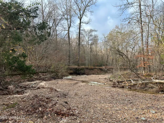 $231,000 | Perry Creek Road, Yazoo City, MS 39194