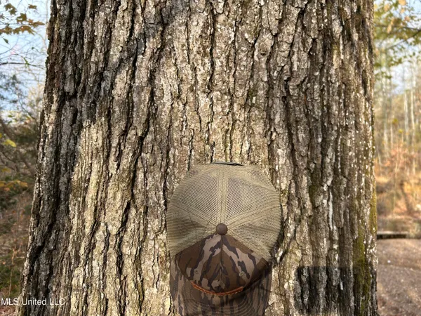 $231,000 | Perry Creek Road, Yazoo City, MS 39194