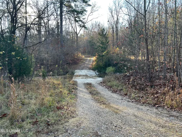 $231,000 | Perry Creek Road, Yazoo City, MS 39194