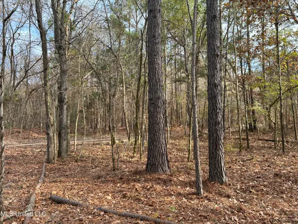 $231,000 | Perry Creek Road, Yazoo City, MS 39194