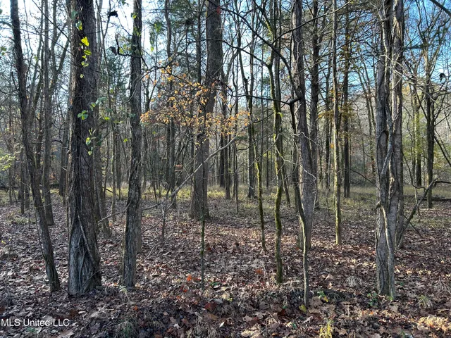 $231,000 | Perry Creek Road, Yazoo City, MS 39194