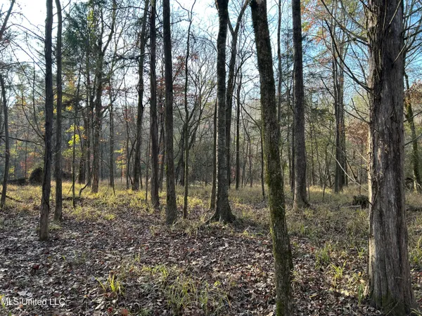 $231,000 | Perry Creek Road, Yazoo City, MS 39194