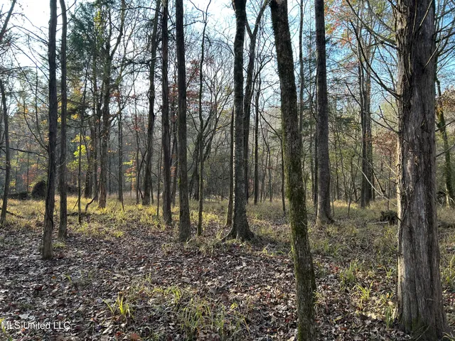 $231,000 | Perry Creek Road, Yazoo City, MS 39194