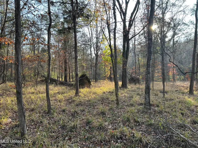 $231,000 | Perry Creek Road, Yazoo City, MS 39194
