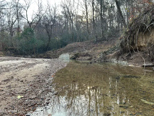 $231,000 | Perry Creek Road, Yazoo City, MS 39194