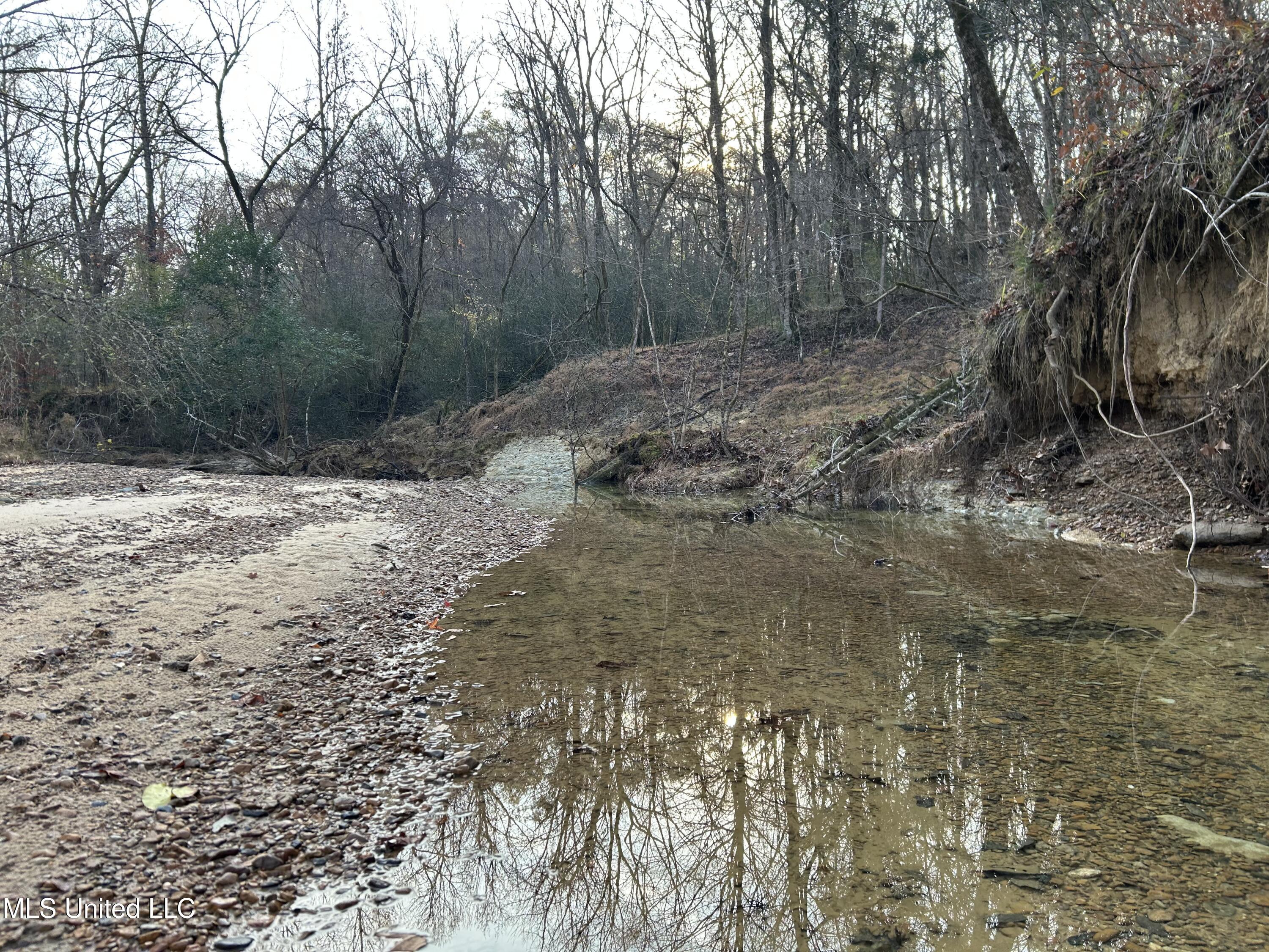 Perry Creek Road Yazoo City, MS 39194 - Photo 25 of 56 Photo Dec 12 2025, 8 33 47 AM