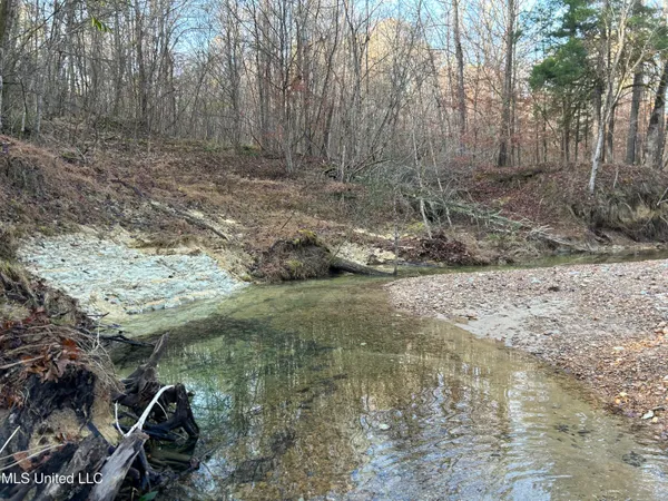 $231,000 | Perry Creek Road, Yazoo City, MS 39194