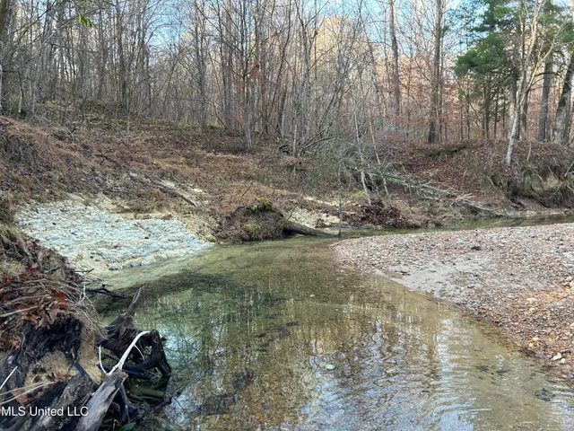 $231,000 | Perry Creek Road, Yazoo City, MS 39194