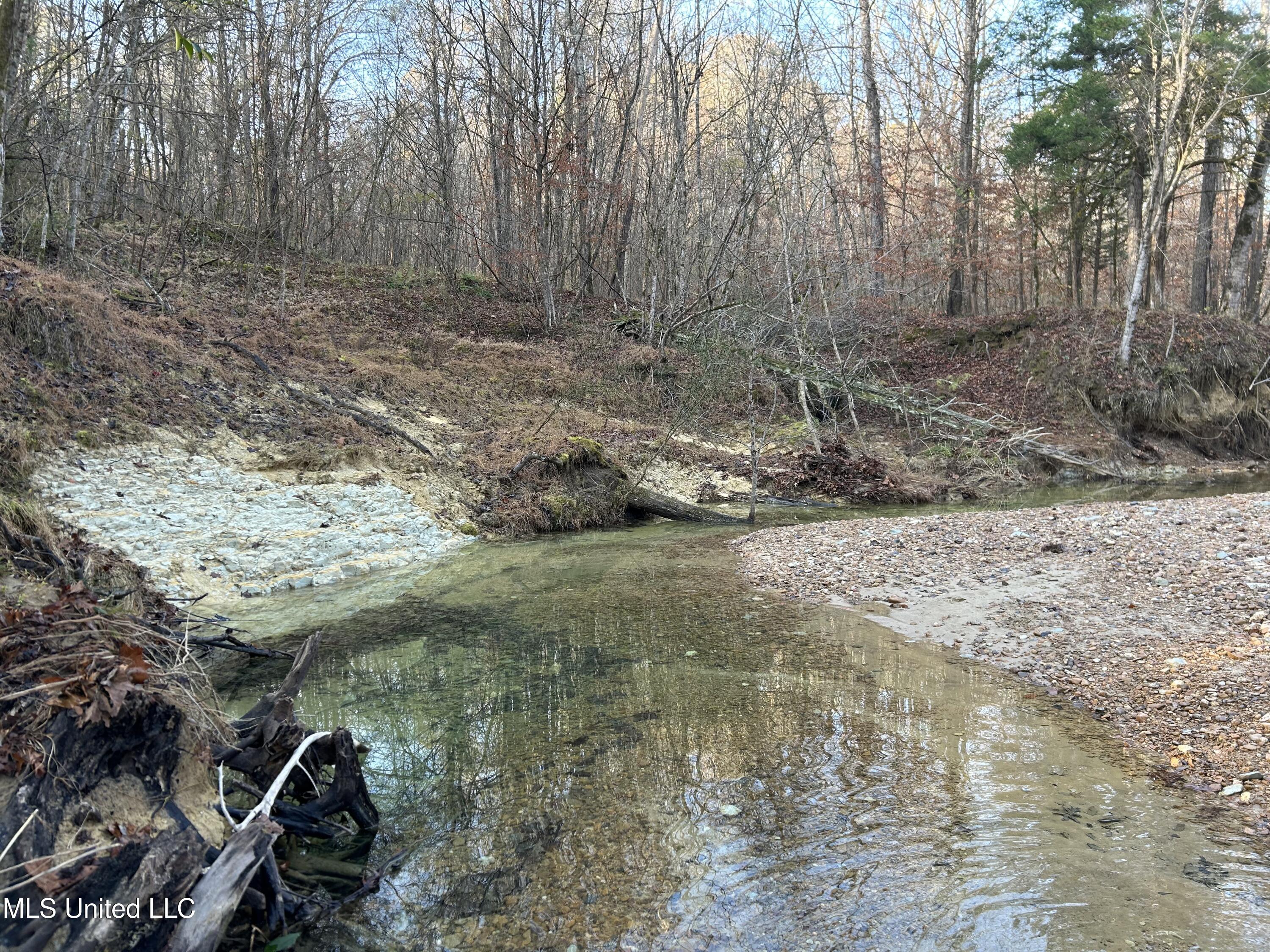 Perry Creek Road Yazoo City, MS 39194 - Photo 26 of 56 Photo Dec 12 2025, 8 34 22 AM