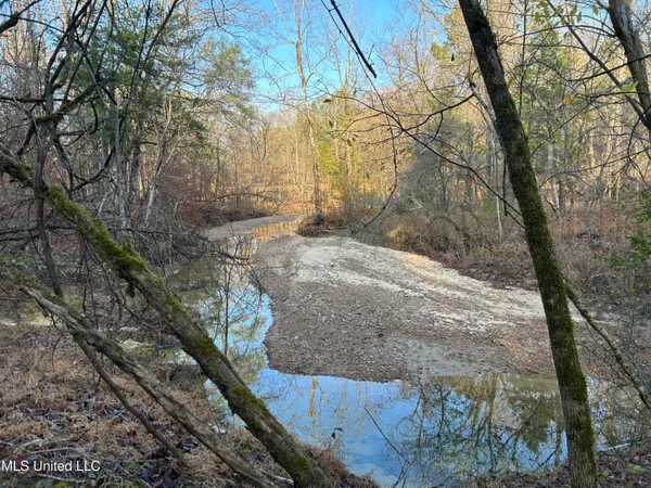 $231,000 | Perry Creek Road, Yazoo City, MS 39194