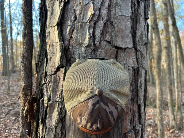 $231,000 | Perry Creek Road, Yazoo City, MS 39194