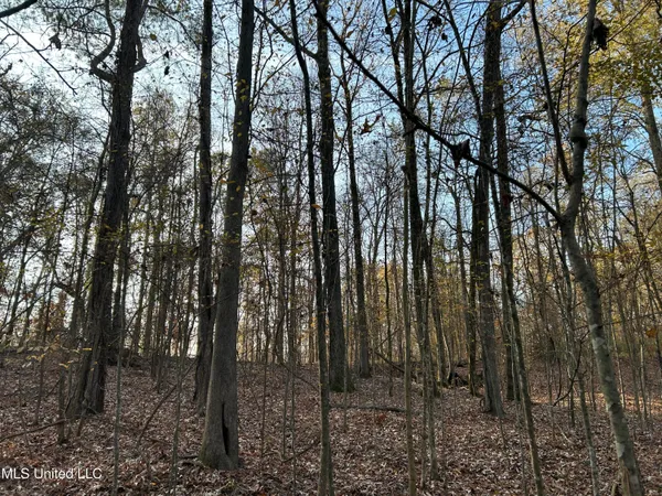 $231,000 | Perry Creek Road, Yazoo City, MS 39194