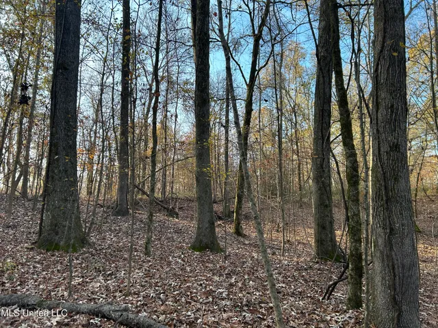 $231,000 | Perry Creek Road, Yazoo City, MS 39194