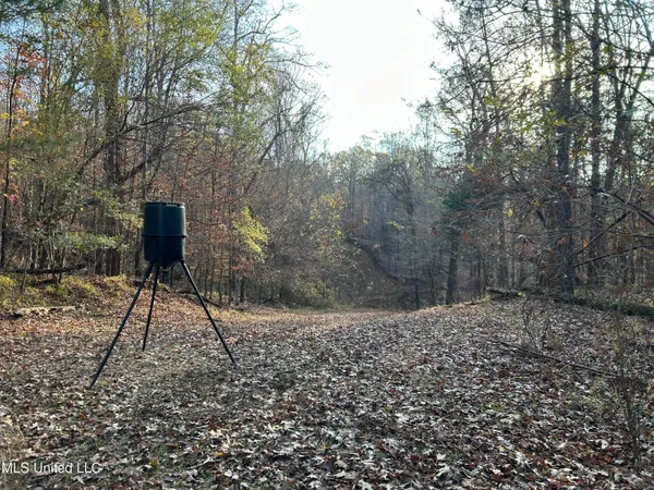 $231,000 | Perry Creek Road, Yazoo City, MS 39194