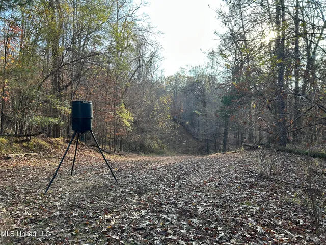 $231,000 | Perry Creek Road, Yazoo City, MS 39194