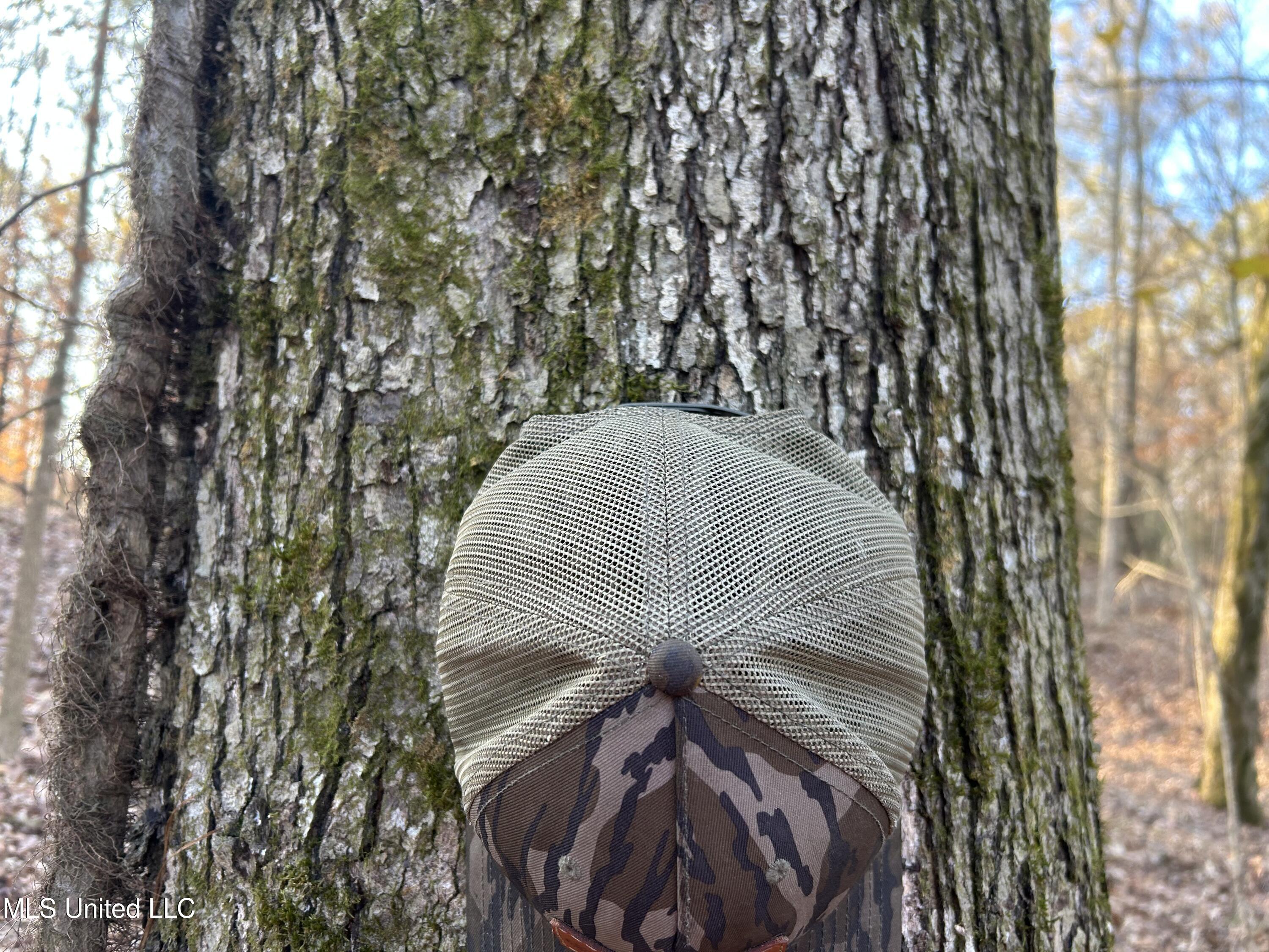 Perry Creek Road Yazoo City, MS 39194 - Photo 31 of 56 Photo Dec 12 2025, 8 37 38 AM
