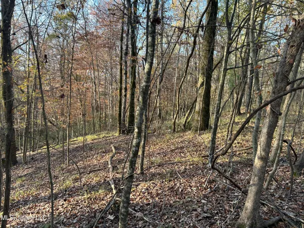 $231,000 | Perry Creek Road, Yazoo City, MS 39194