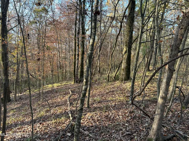 $231,000 | Perry Creek Road, Yazoo City, MS 39194