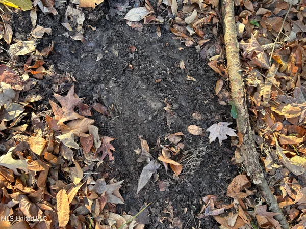 $231,000 | Perry Creek Road, Yazoo City, MS 39194