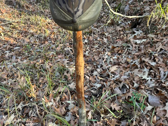 $231,000 | Perry Creek Road, Yazoo City, MS 39194