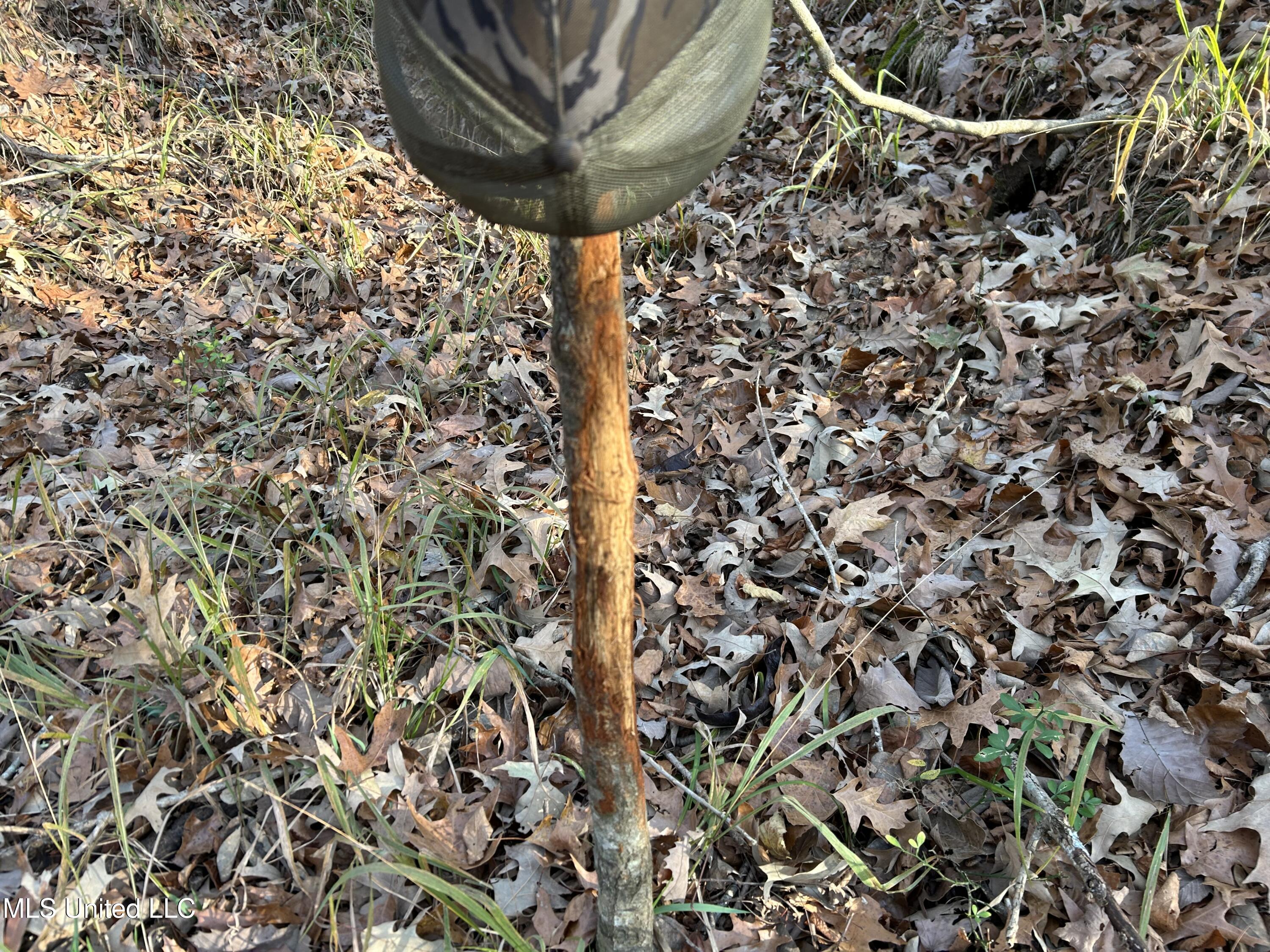 Perry Creek Road Yazoo City, MS 39194 - Photo 35 of 56 Photo Dec 12 2025, 8 41 12 AM