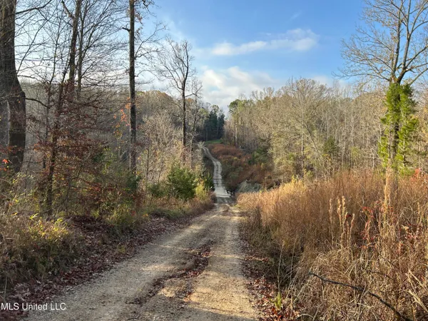 $231,000 | Perry Creek Road, Yazoo City, MS 39194